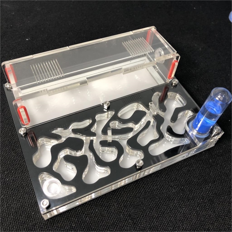 

150mmx110mm test tube Moisture big space Ant Nest Ant Farm Acrylic Insect ants Villa House Ants Ecological Workshop 220811