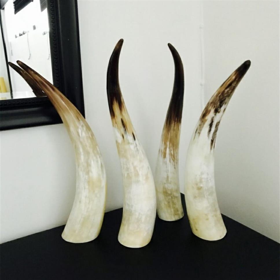 

11 Natural Genuine horn ornaments single yellow single horn horn of Africa more than 40cm-60cm263g