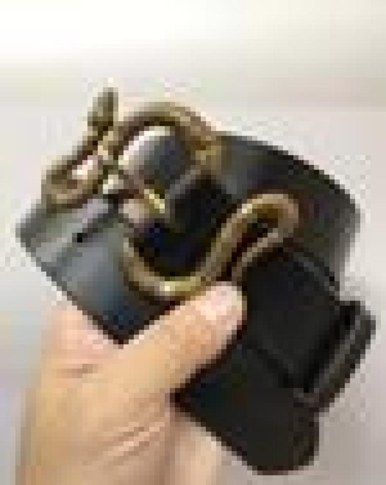 

TOP snake buckle Men Belts Classic bronze Buckle beltsGold buckle fashion, Black