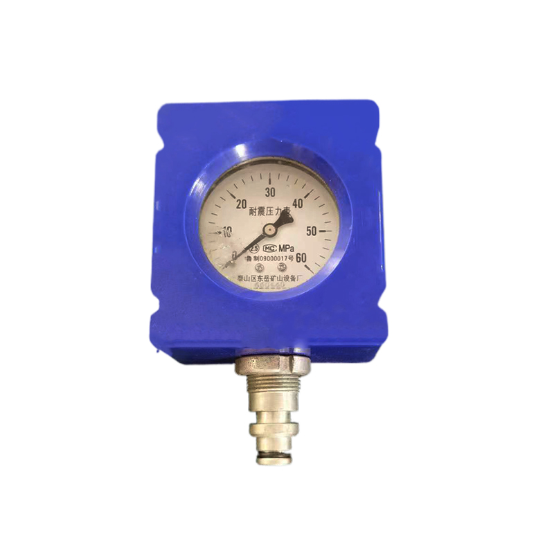 

Fully mechanized mining pressure detector YTY60 Quality assurance Factory direct