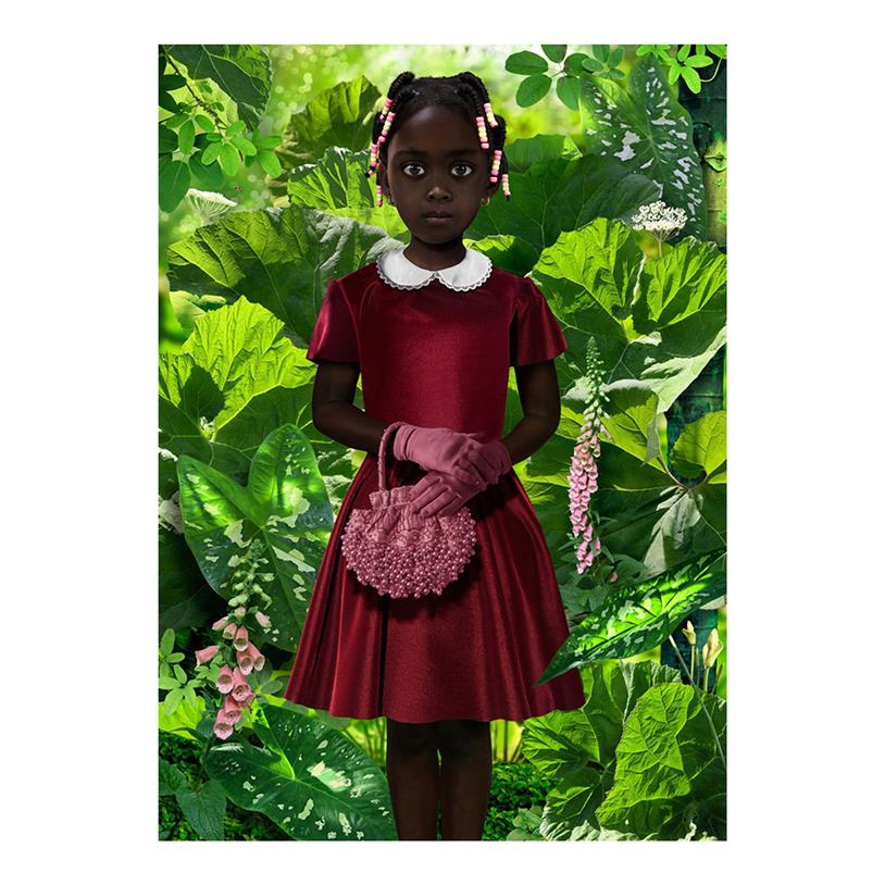 

Ruud van Empel Standing In Green Painting Red Dress Poster Print Home Decor Framed Or Unframed Popaper Material306y
