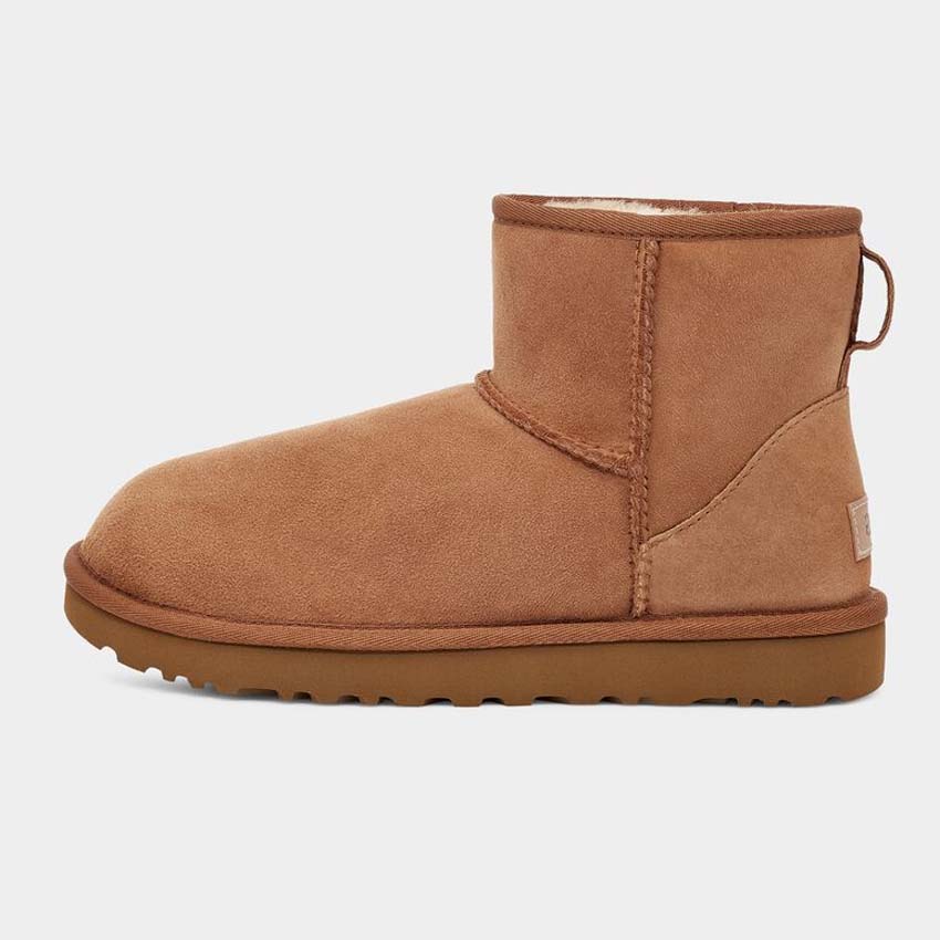 Woman Australia Snow Boots Fur Ankle Boot Delicate Short Booties New Deason Booty Style Luxury Outddor Chestnut Bow Grils