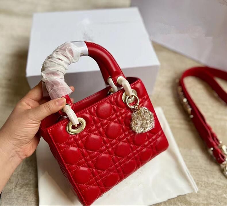

Internet Celebrity Bags Womens Bag 2023 New Fashion Advanced Texture All-Match Ins Shoulder Crossbody Portable Scarf Diana Bag, Y 24cm