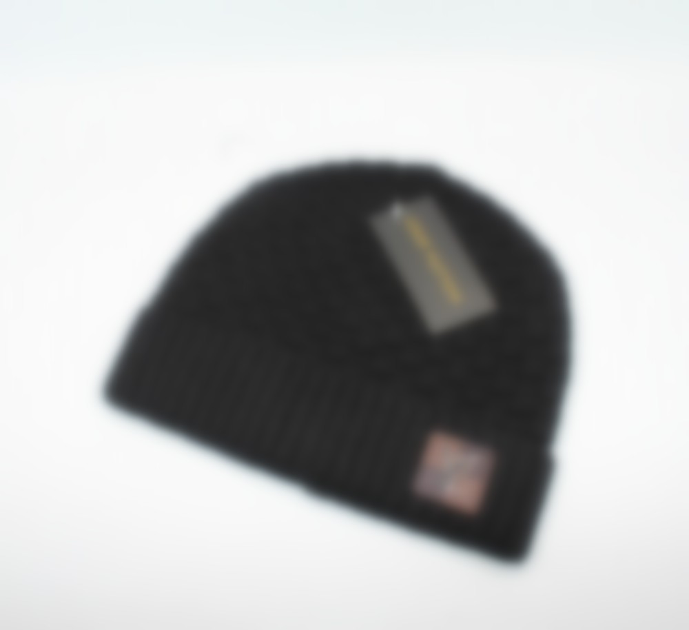

2023 Knitted goose hat designer wool hat big brand solid color outdoor fashion 5 colors A3