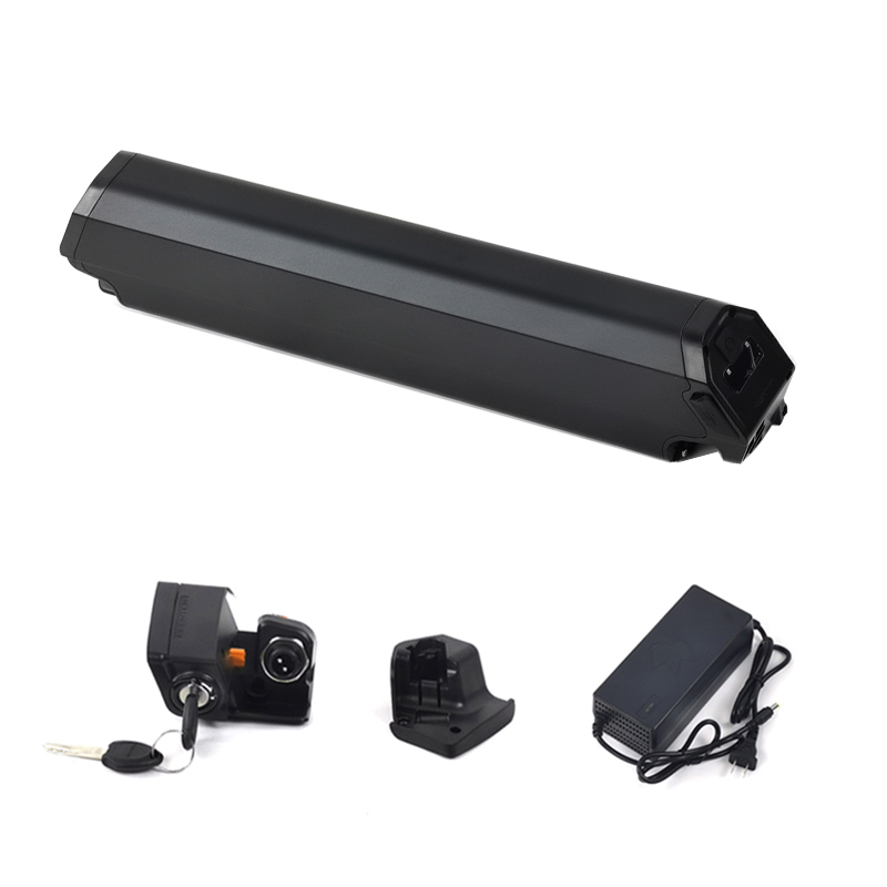 48V Ebike Battery 13Ah Reention Dorado Plus Lithium ion akku Electric Bicycle Battery for QWIC NCM moscow Milano ebike battery-image-888571843