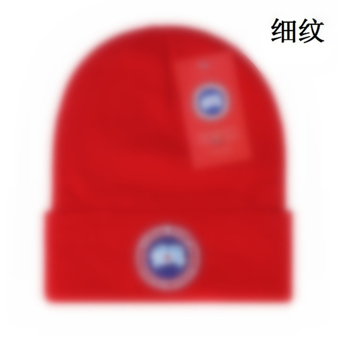 

Designer knitted hat popular canada winter Classic Letter goose Embroidery Caps Fashion Street Hats A-7, Style.19