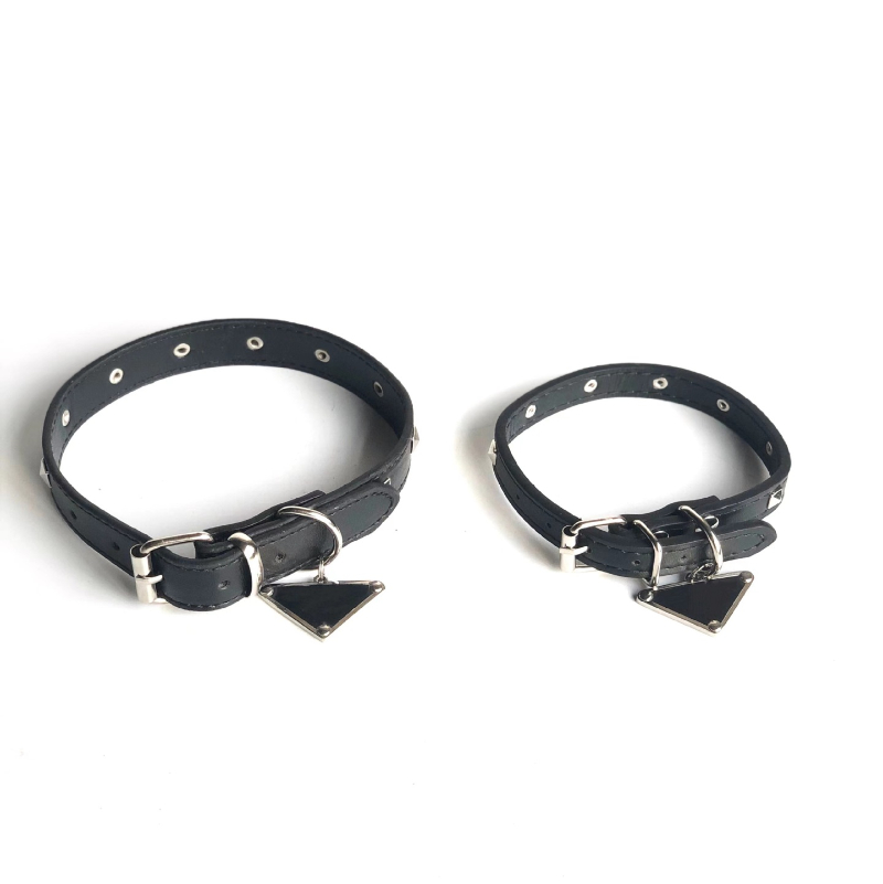 

Designer Pet Dog Cat Collars and Leashes Traction Rope Brand Rivet Collar