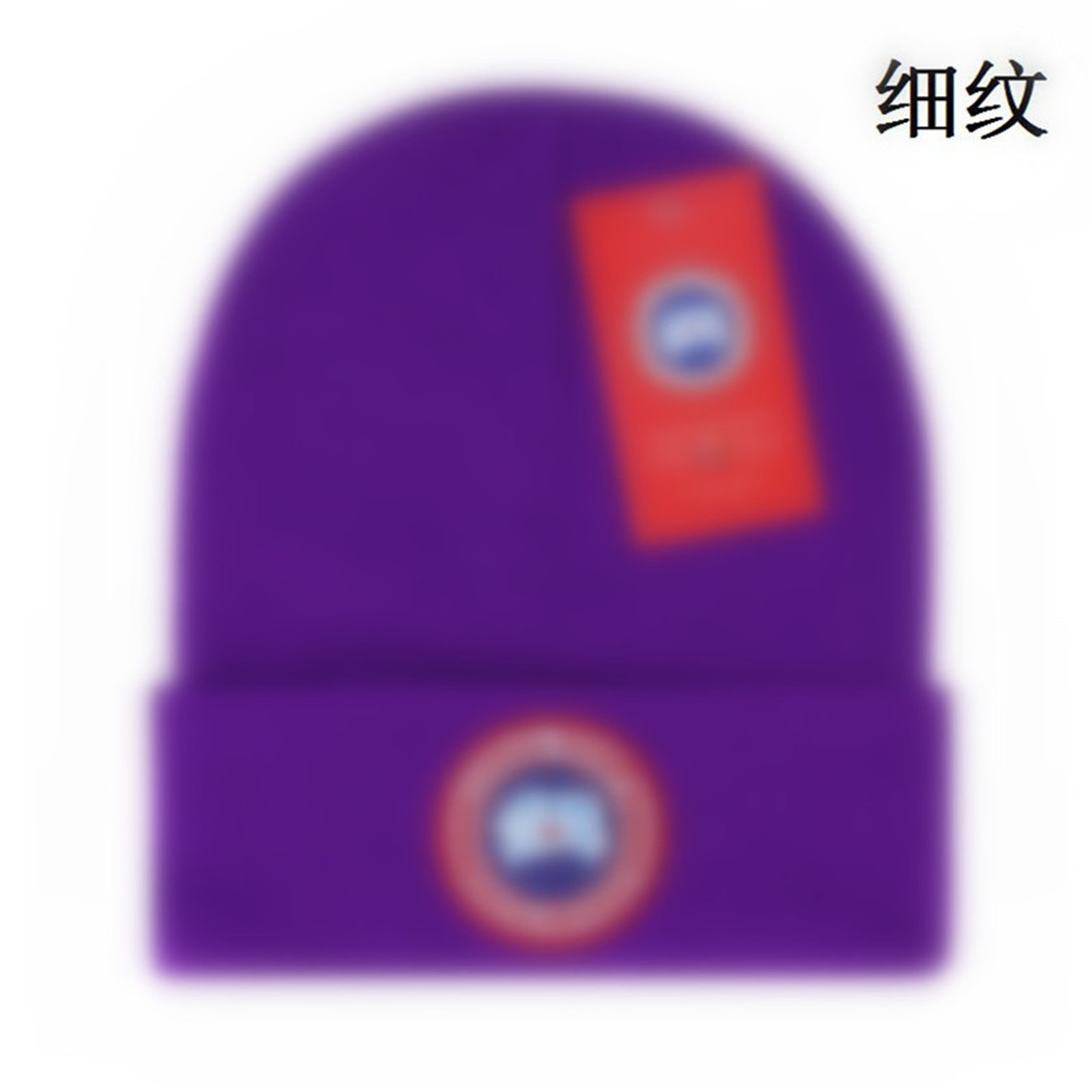 

Designer knitted hat popular canada winter Classic Letter goose Embroidery Caps Fashion Street Hats A-5, Style.19