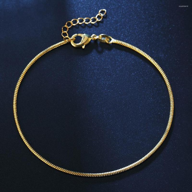 

Anklets Trendy Snake Chain Women Bracelet Silvery/Gold Color Classic Ankle Accessories Jewelry Gift