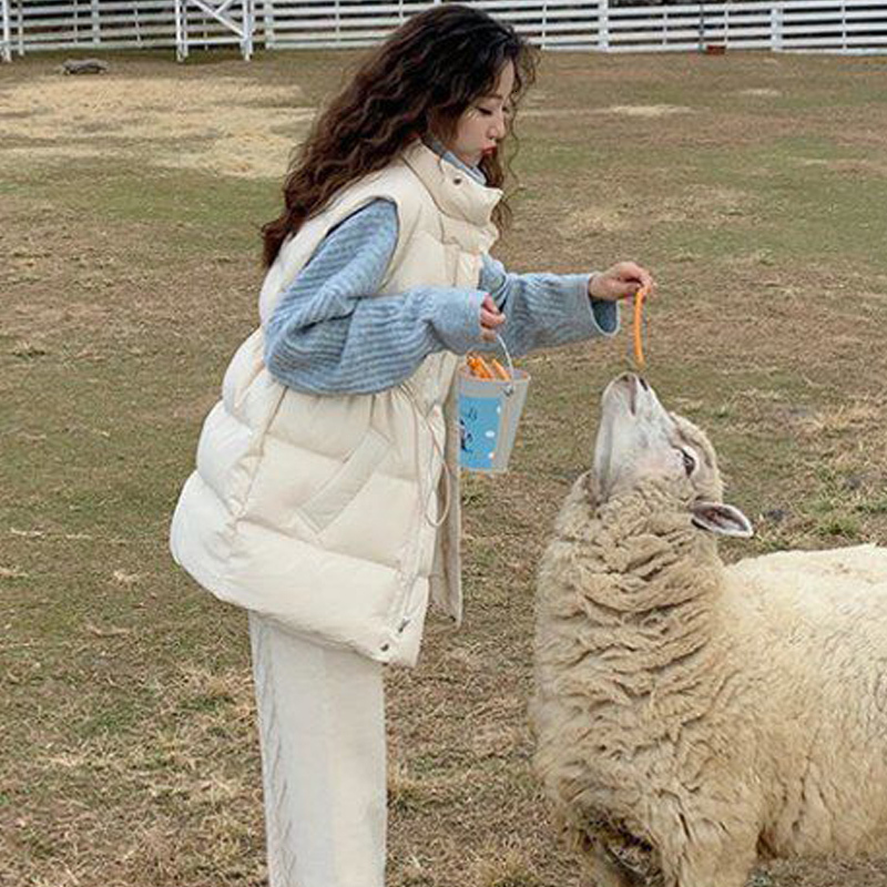 

Women's Vests Fashion Sleeveless Female Winter Waistcoat Outer Down Clothing Cotton Vest Autumn Winter Solid Loose Down Cotton Horse Jacket 221202, White