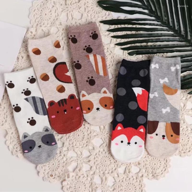 

Women Socks Cartoon Casual Animal Printing Sock Seamless Soft Winter Cotton Comfortable Breathable Warm 1 Pc, Khaki