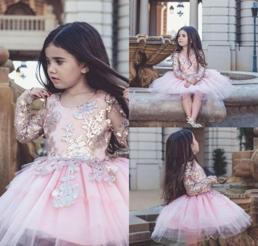 

Girl Dresses Flower Girls Dress Pink Tulle Full Sleeve With Appliques Ball Gown Wedding Party Vestidos For Kids Birthday Wear, Auburn