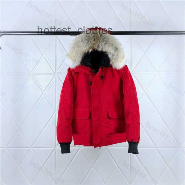 

canada Down Parkas Coats Mens Womens Designers Jackets Veste Homme Winter Jassen Puffer Big Fur Hoody Fourrure Outerwear Manteau Hiver 2 goose 75IR