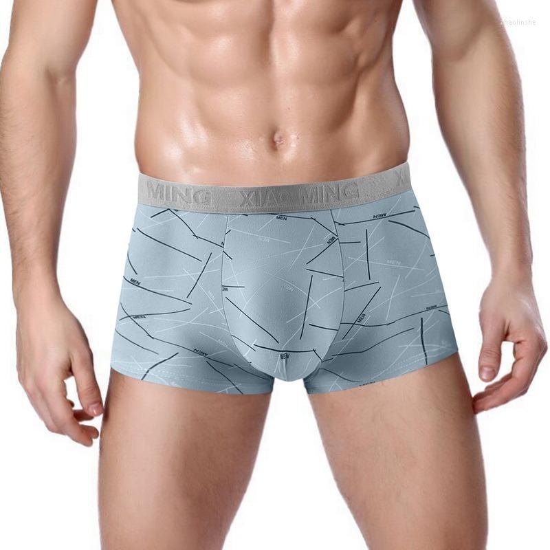 

Underpants Boxers Men Boxer Shorts Underwear Male Homme Polyester Boxershorts Plus Size Panties Sexy, Green