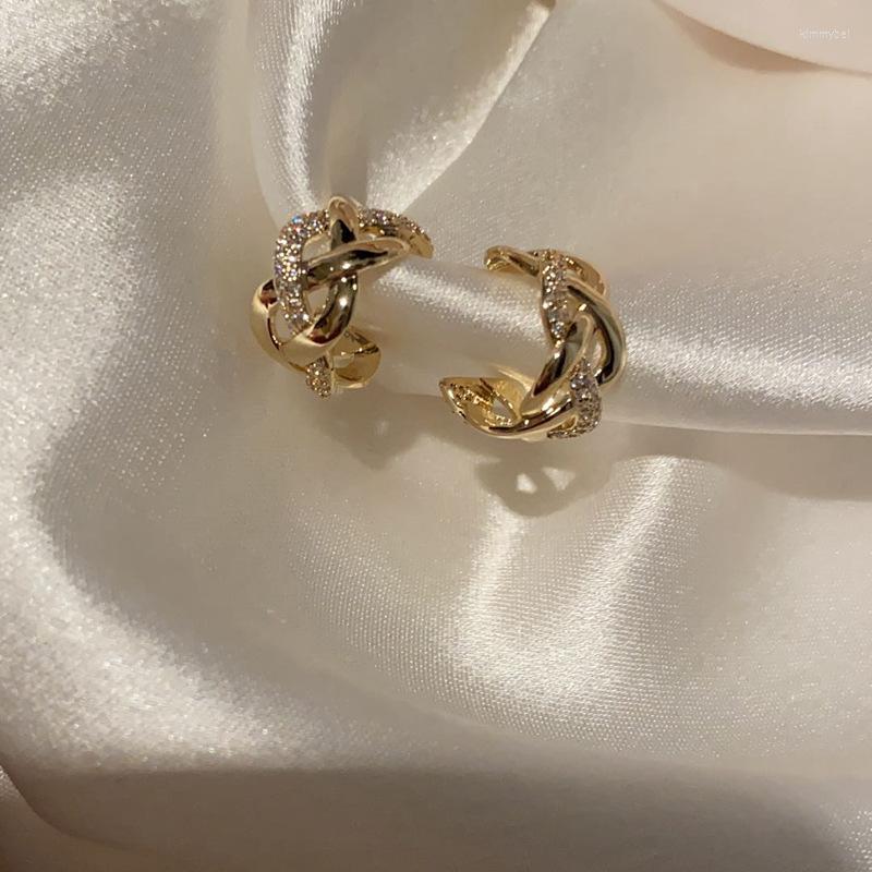

Hoop Earrings Tide Earring Korean Gold For Women Personalized Jewelry Stainless Steel Crystal