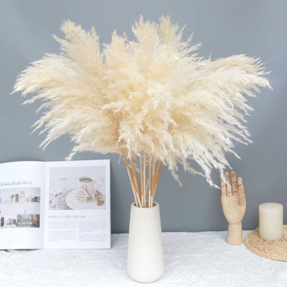

10/20 Pcs Cream Grass Fluffy Dried Pampas ation Natural Flowers Bouquet Boho Decor Valentines Day Gif 1208