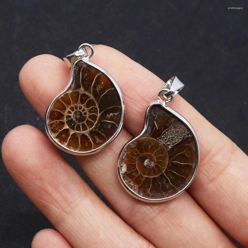 

Charms Natural Stone Pendants Ammonite Seashell Snail Shaped For Jewelry Making DIY Necklaces Earrings Conch Animal Accessories