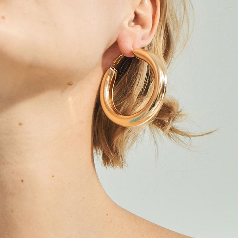 

Hoop Earrings Hiphop Punk Alloy Minimalis Thick Tube Metal Boho Statement Gold Silver Color Circle Round Jewelry