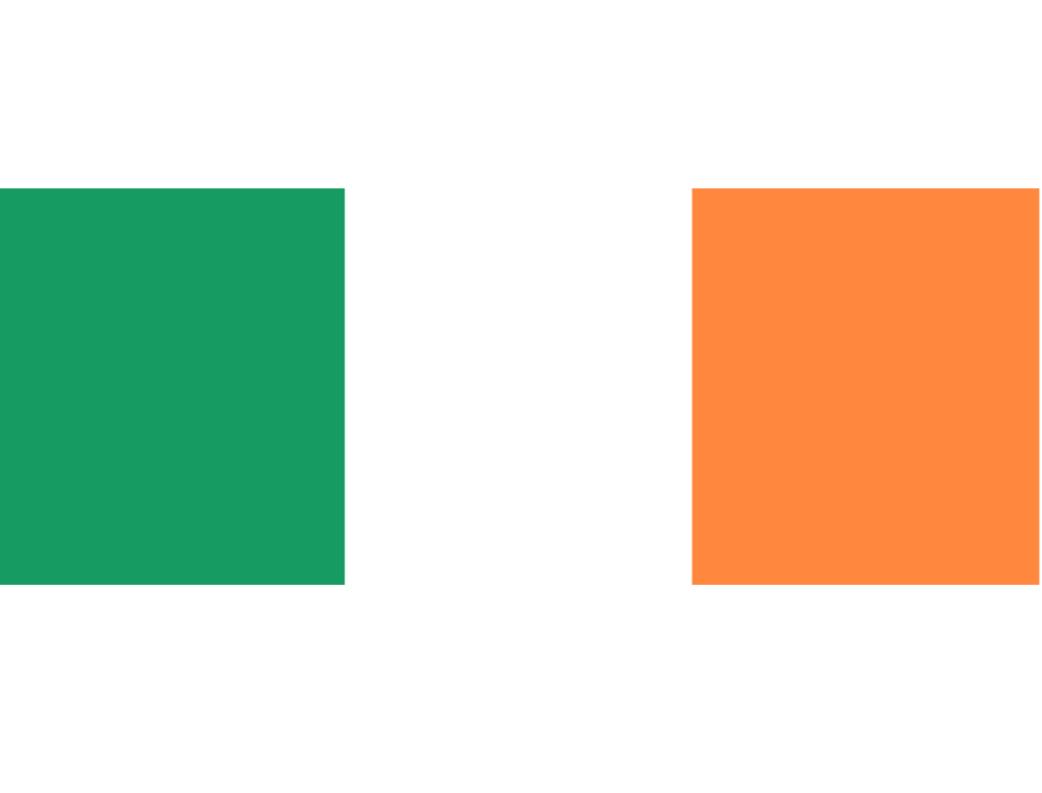 

Whole 150x90 cm Ireland Flag 3x5ft Flying Banner 100D Polyester National Flag Decoration 7799722