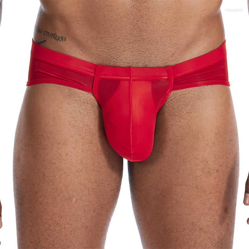 Underpants Sexy Men Underwear Ultra Thin Ice Silk Men&#039;s Briefs Penis Big Pouch Low Rise Slips Hombre Erotic Panties Cueca-image-828611000