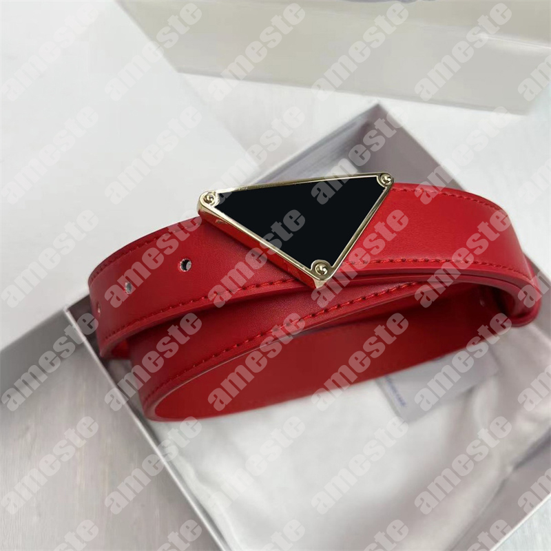 

P Designer Leather Belt Womens Men Fashion Gold Silver Buckle Belts Woman Waistband Mens Casual Belts Ceintures Cintura Width 3cm