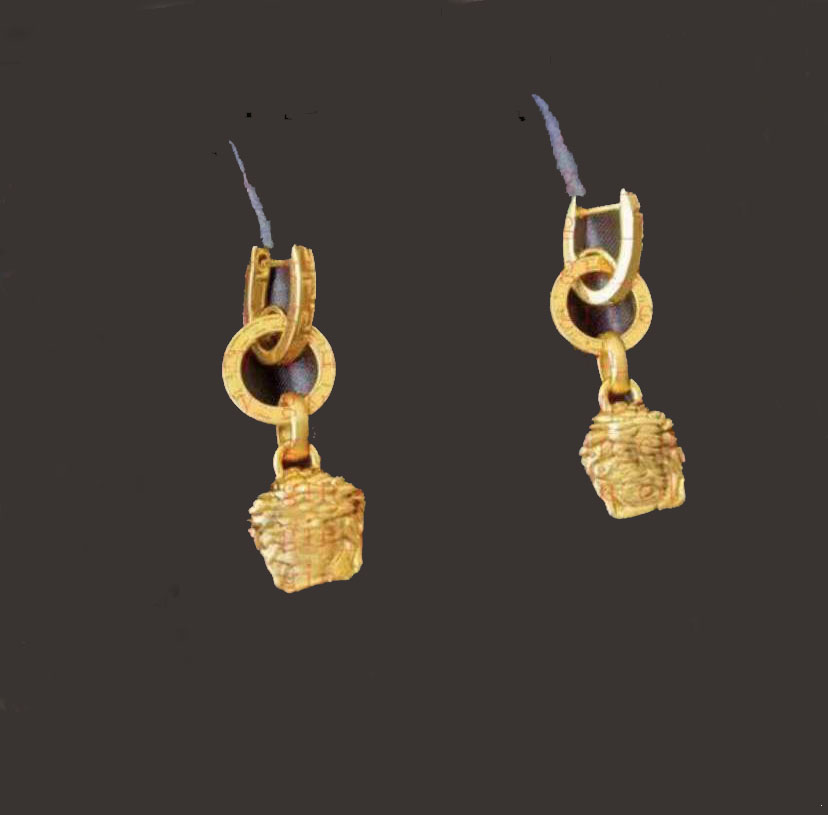 

Fashion Designer earring for mens and women lovers couple gift ladies weddings gifts jewelry with box nrj