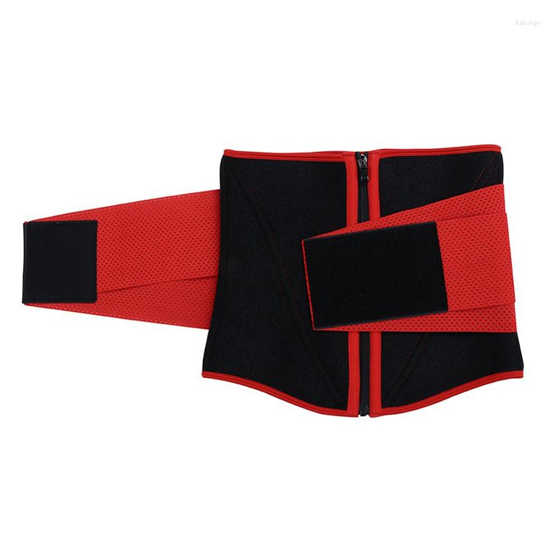 

Women' Shapers Men Women Design Body Shaping Corsets Waist Trainer Tummy Control Flat Belly Shapewear Slimming Tight Belts, Black