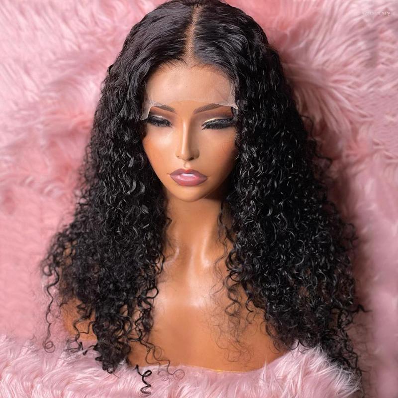 

Natural Curly 180% Lace Front Human Hair Wigs For Black Women Slove Rosa KK, Picture shown