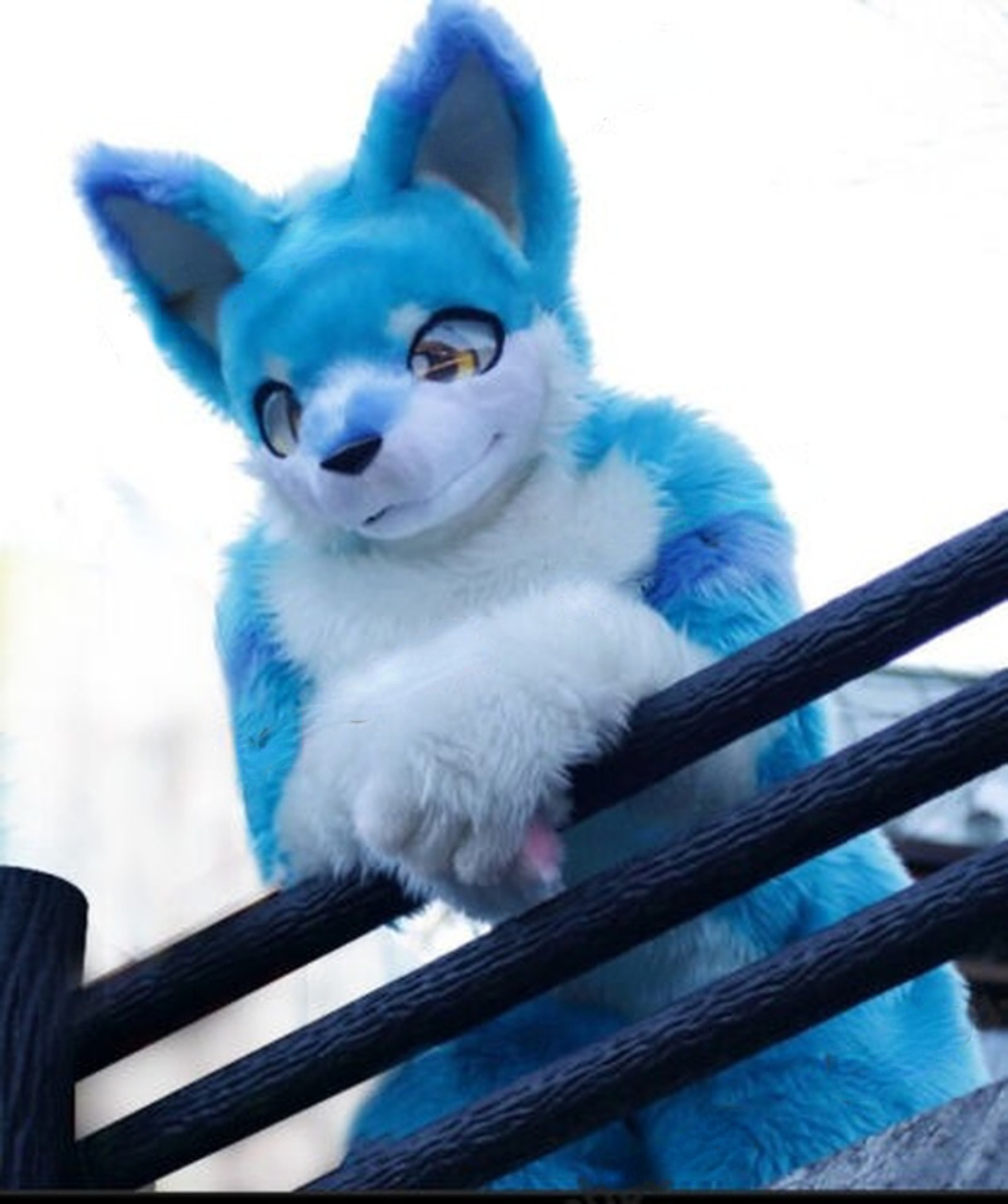 

Husky Fox Mid-length Fur Mascot Costume Walking Halloween Christmas Suit Stage Role-playing, Blue