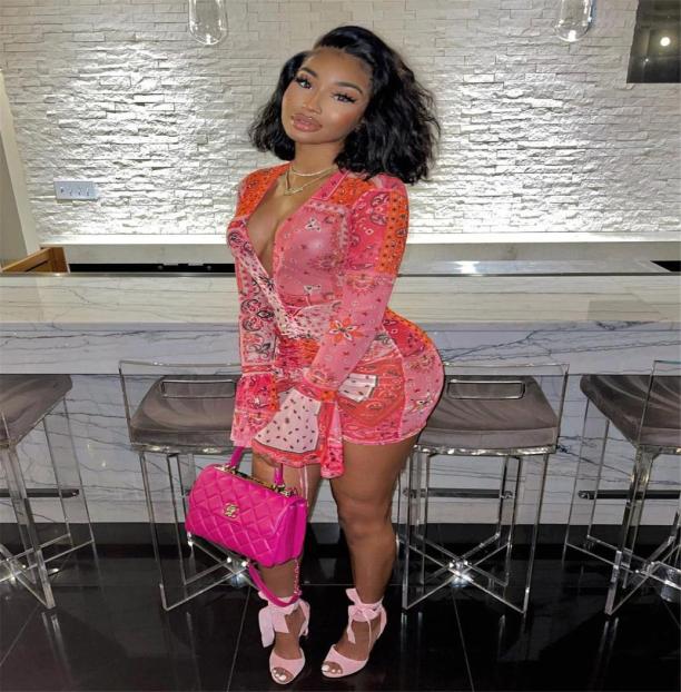 

Pink Bandana Mesh Bodyocn Dress Club Outfits For Women Flared Long Sleeve Deep V Neck Draw String Mini Drop Casual Dresses3435427, Blue