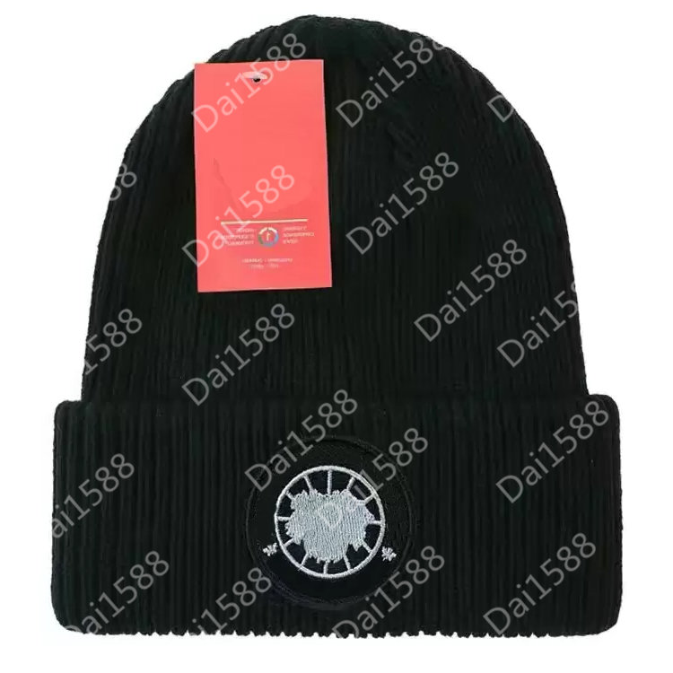 

Designer Knitted Hat Ins Popular Canada Winter Hats Classic Letter Goose Print Knitted Caps 17, No.1
