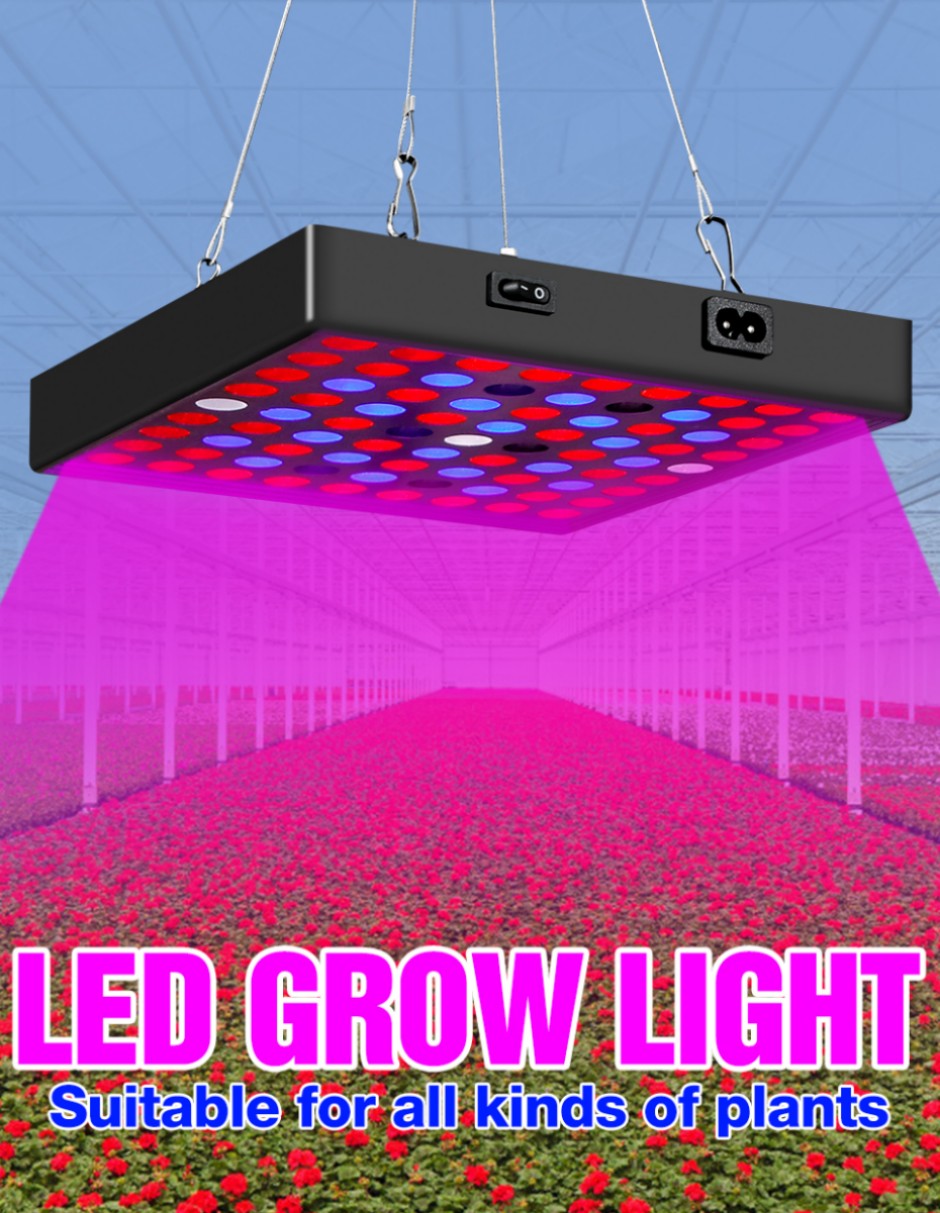

LED Grow Light 2000W 3000W Full Spectrum Greenhouse Phytolamp LED Plant Lighting