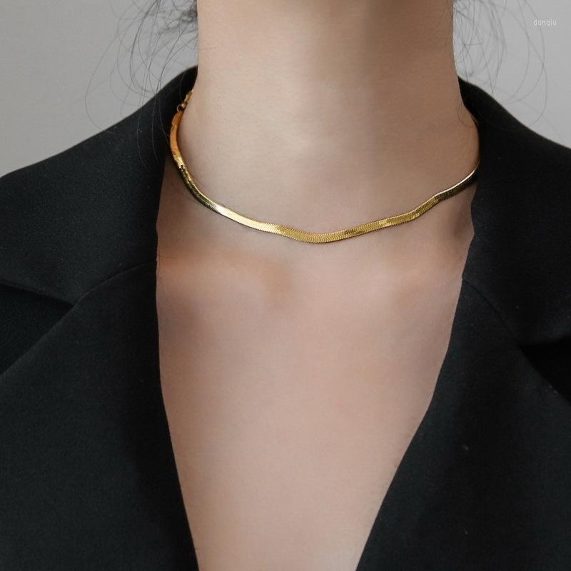 

Chains Gold Stainless Steel Flat Blade Chain Necklace For Women Men Gift Jewelry Trendy Minimalist Choker Clavicle