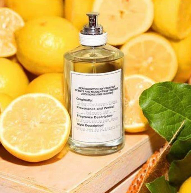 

Luxuries designer men woman Designer Perfume Under the Lemon tree 100ML Women Neutral Perfumes Fragrance Long Lasting Time Good Smell Cologne Spray Fast Ship