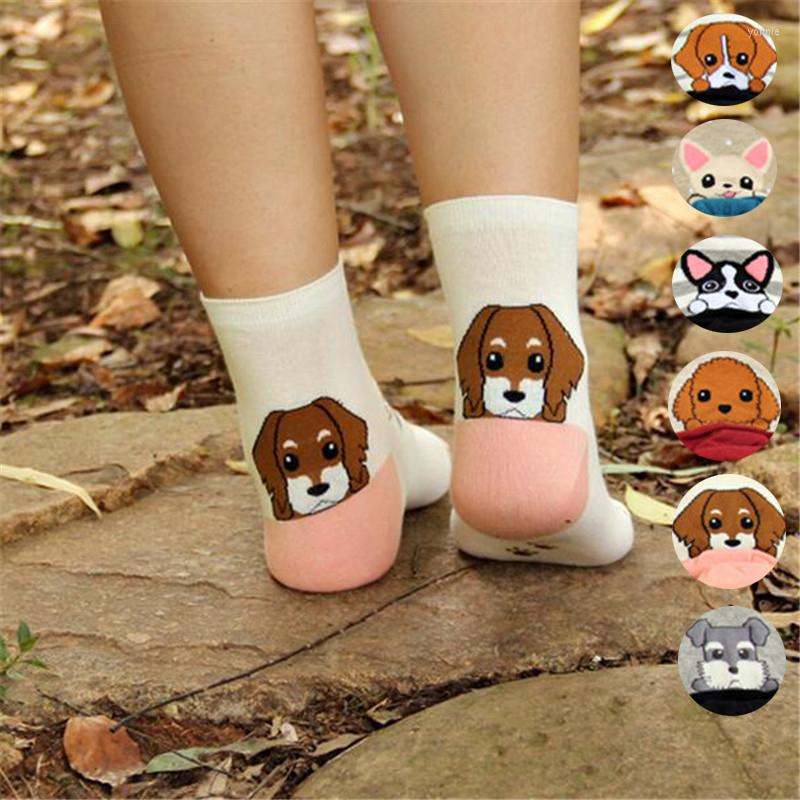 

Women Socks LONCENXIS Cartoon Animal Cotton Fashion Female Ladies Pug Border Collie Patterned Funny Tube Sock, Black socks