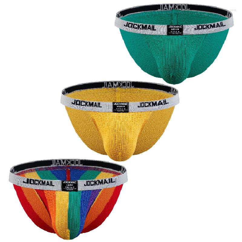

Underpants Sexy Underware Men Brief Gays Cotton Crochet Mesh Rainbow Strips Sissy Clothing Bikinis Panties Exotic Slip Uomo Cazzo Duro, Jm378 blue
