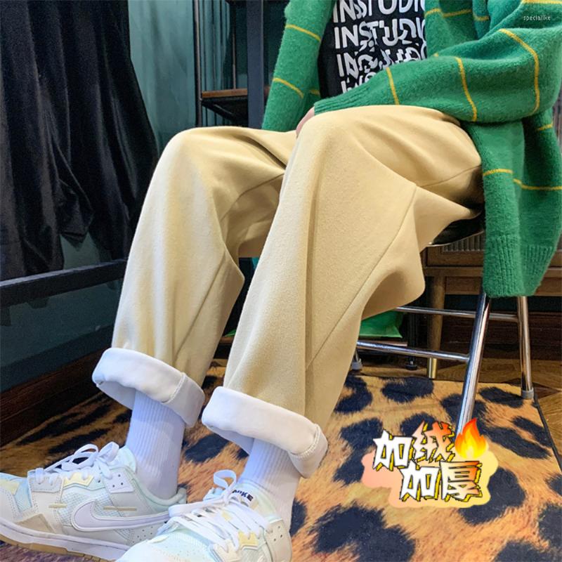 

Men's Pants Winter Men's Fleece Casual Male Straight Trousers Solid Color Warm Thicken Loose Wide Leg Baggy Hip Hop Harajuku, Gray