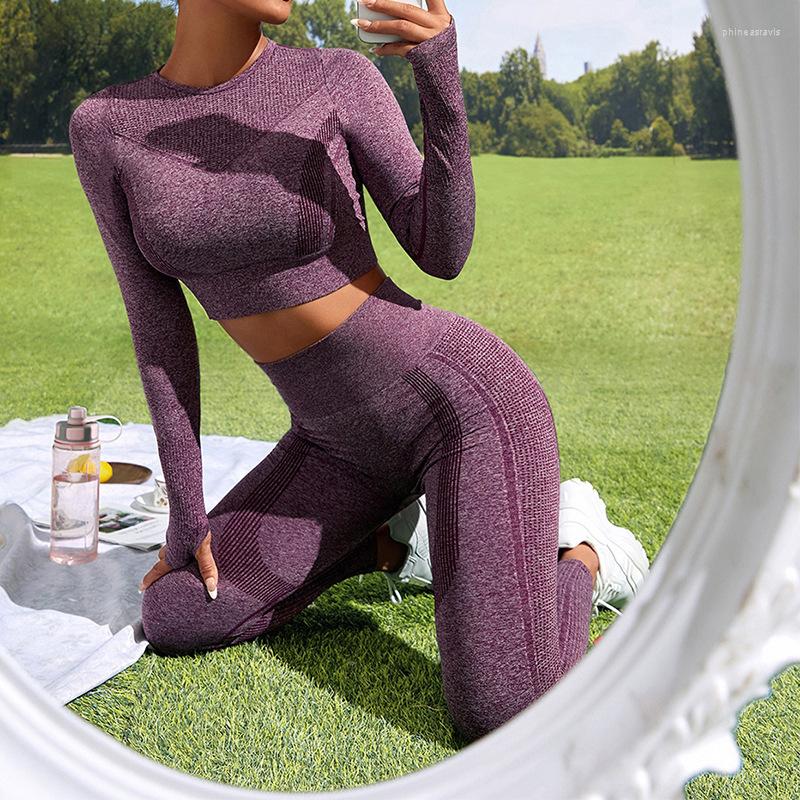 

Active Sets Ribbed Seamless Yoga Set Women 2 Piece Outfit Long Sleeves Crop Top High Waist Leggings Fashion Fitness Wear Sport, Blue