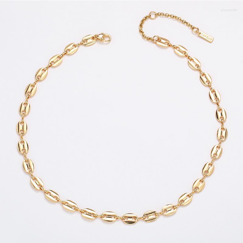 

Choker Temperament Link Chain Necklace For Women Gold Plated Pig Nose Clavicle Chains Jewelry Coffee Collar Cadena Eslabones