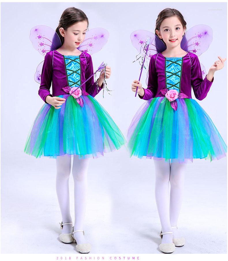 

Stage Wear Flower Fairy Dance Dress Performance Dancewear Girls Costume 100-160cm Size, Long sleeve
