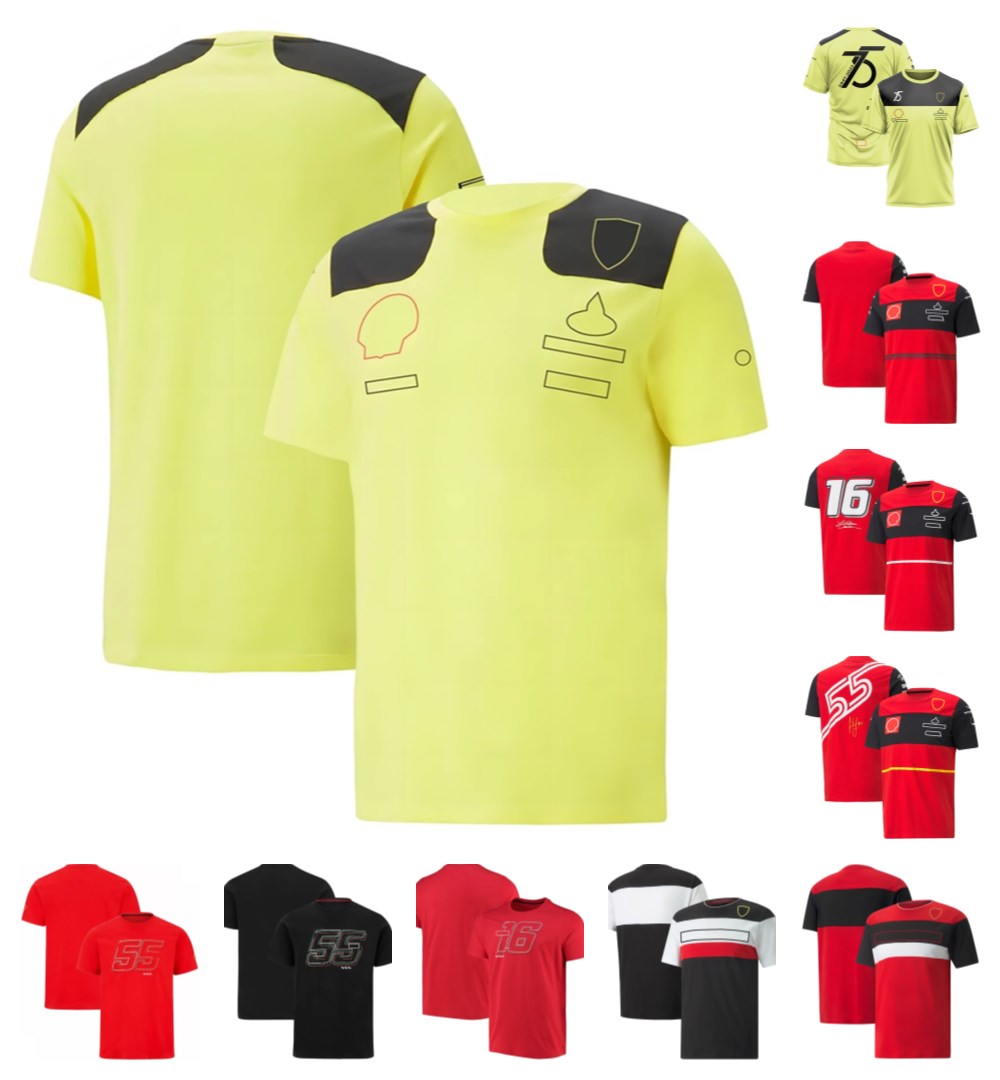 

F1 team clothing 2022 racer T-shirt short sleeve round neck quick-drying clothing