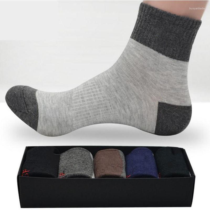 

Men's Socks Adult Men's Cotton 5 Pairs/1 Boxs Hosiery Men, Mixed color