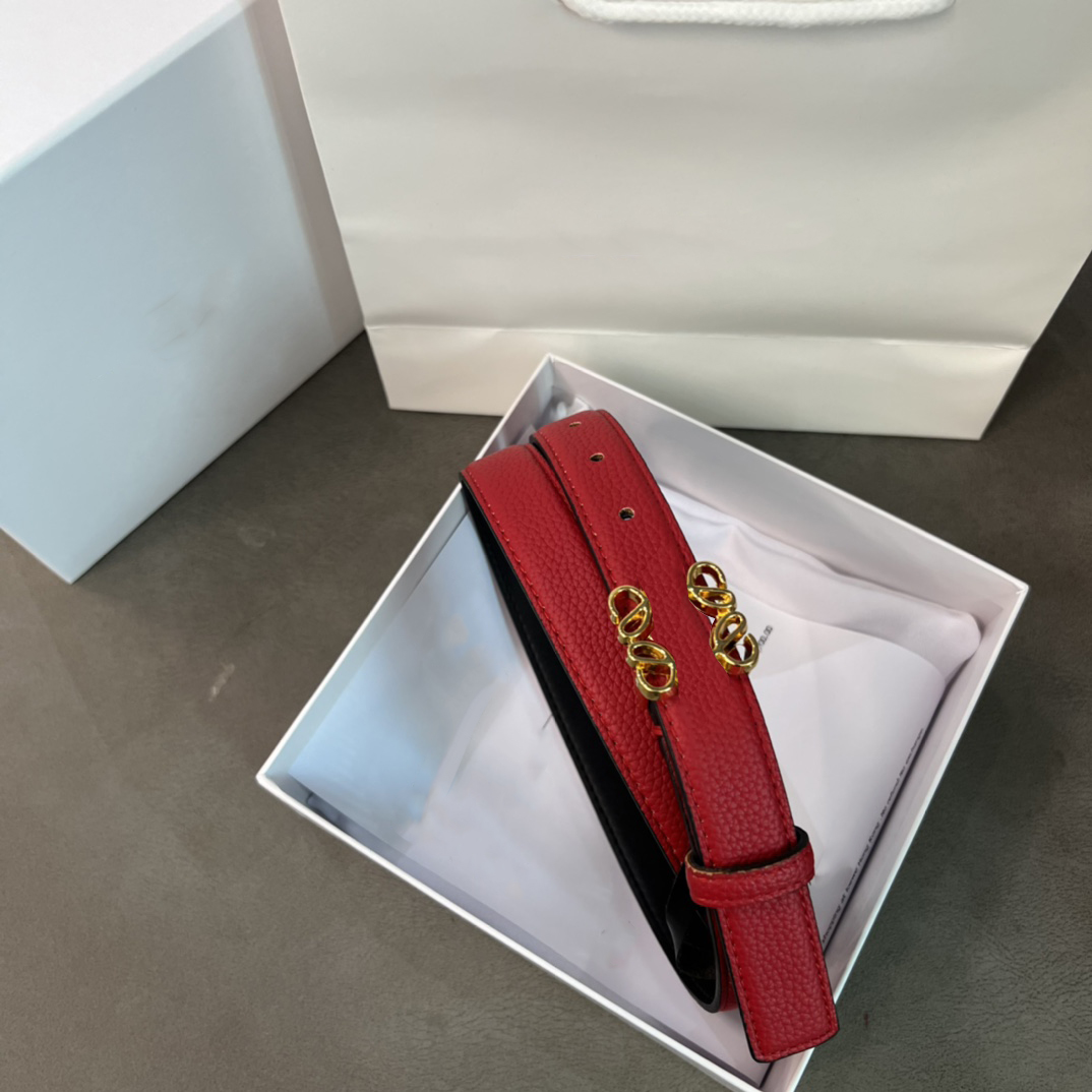 

belts designer Luxurys belt Solid color for women out of the ordinary Vintage Pin needle Buckle Beltss 5colors Width 2.5 cm size 100-110cm Casual fashion very good, As pics