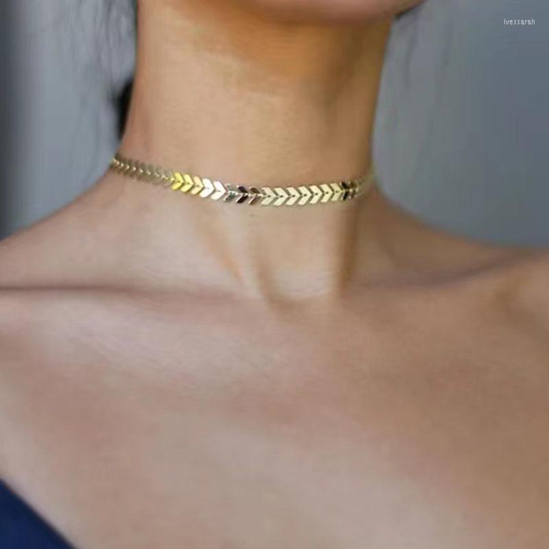 

Choker 18K Stainless Steel Chain Simple Fashion Geometric Collar Creative Design Unique Charm Ladies Jewelry