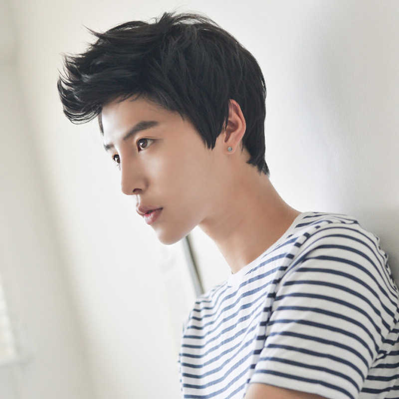 

Hair Lace Wigs Fashion Handsome Men's Short Hair Aircraft High Temperature Silk Chemical Fiber Wig Head Cover, Black