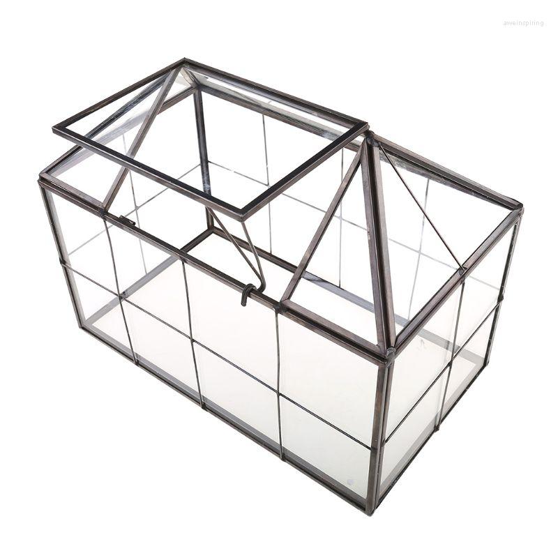 

Jewelry Pouches F19D Air Plant Terrarium Glass House Succulent Large Geometric