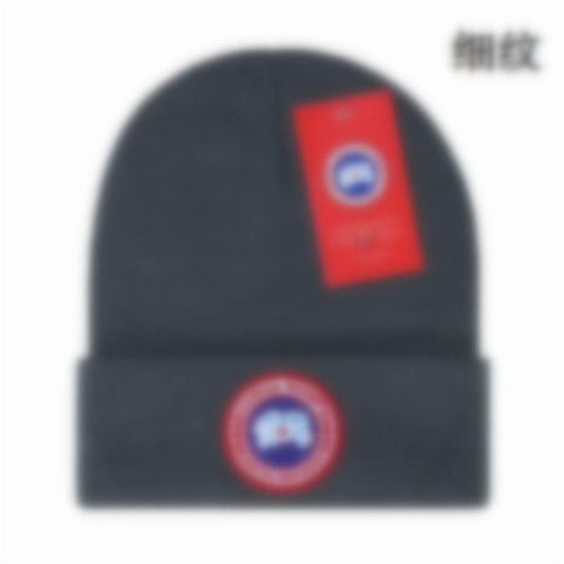 Winter New Knitted Hat Men beanies goose Designers Hats Women Luxurys Wool Cap Solid Colour Hip Hop Sports Caps fashion 12 colours