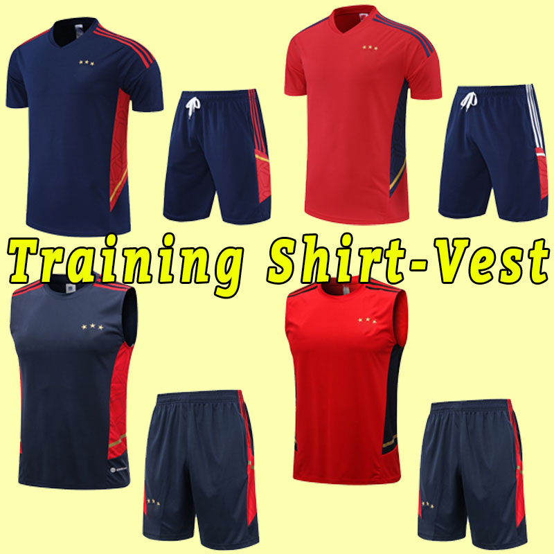 

22 23 TADIC soccer jersey Camiseta Futbol BERGHUIS HALLER BLIND KLAASSEN GRAVENBERCH CRUYFF BLIND 22 23 football shirt Alvarez pants Vest POLO training, As shown