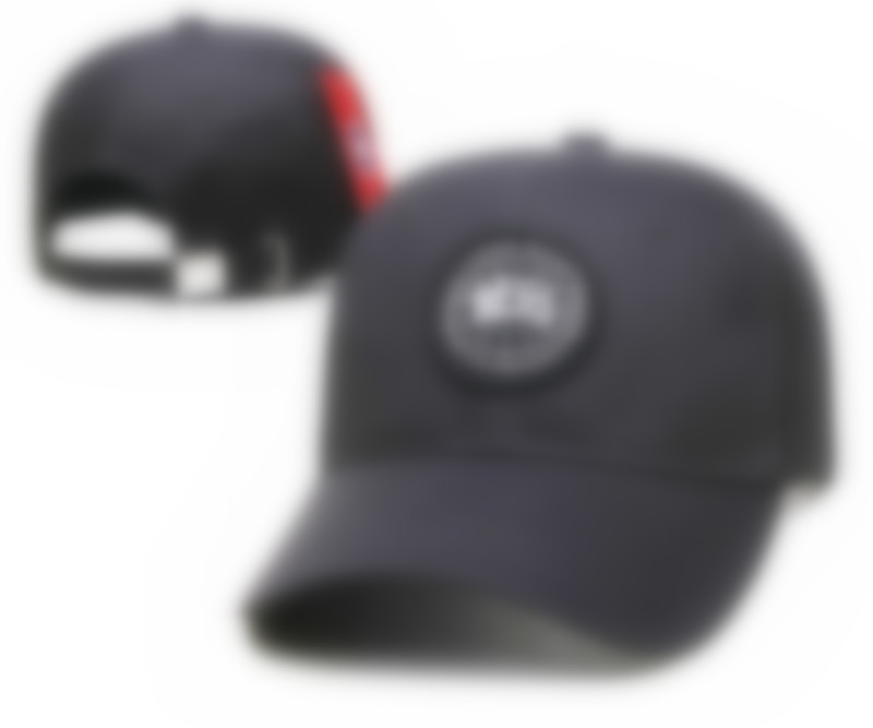 

Designer baseball cap ins popular canada Letter goose embroidery Ball Caps Velvet material is comfortable and breathable 14 color E-14, Style.13