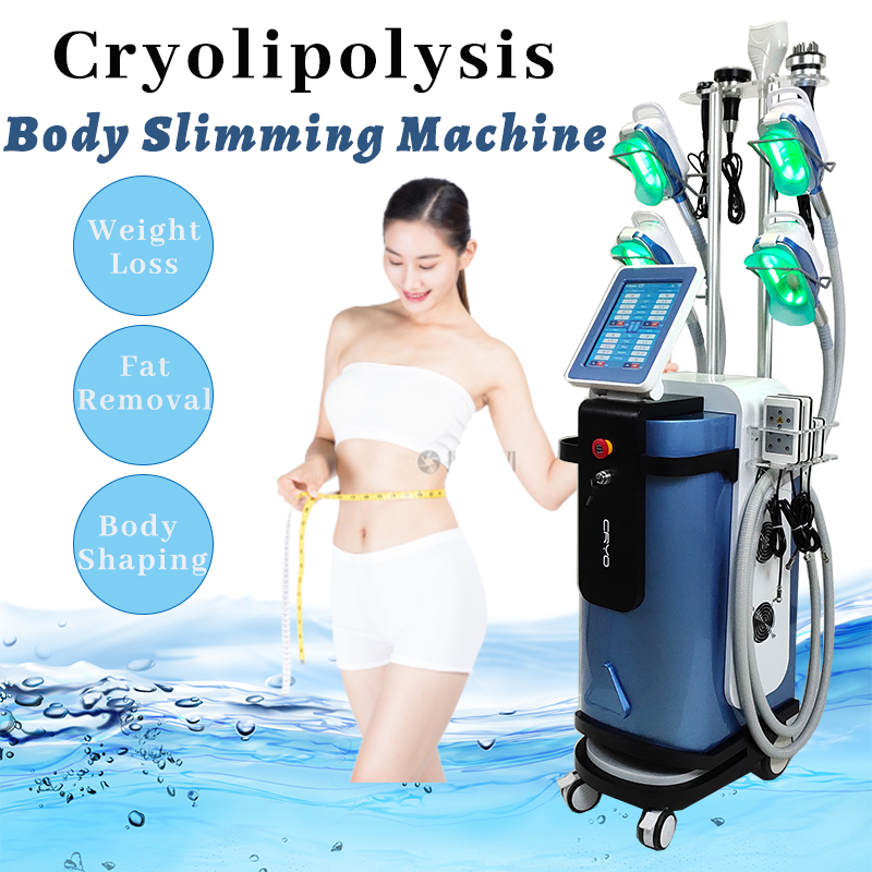 

Cryolipolysis Weight Loss Body Slimming Machine Abdomen Fat Removal Vacuum Therapy Shaping Use Multifunctional Machine
